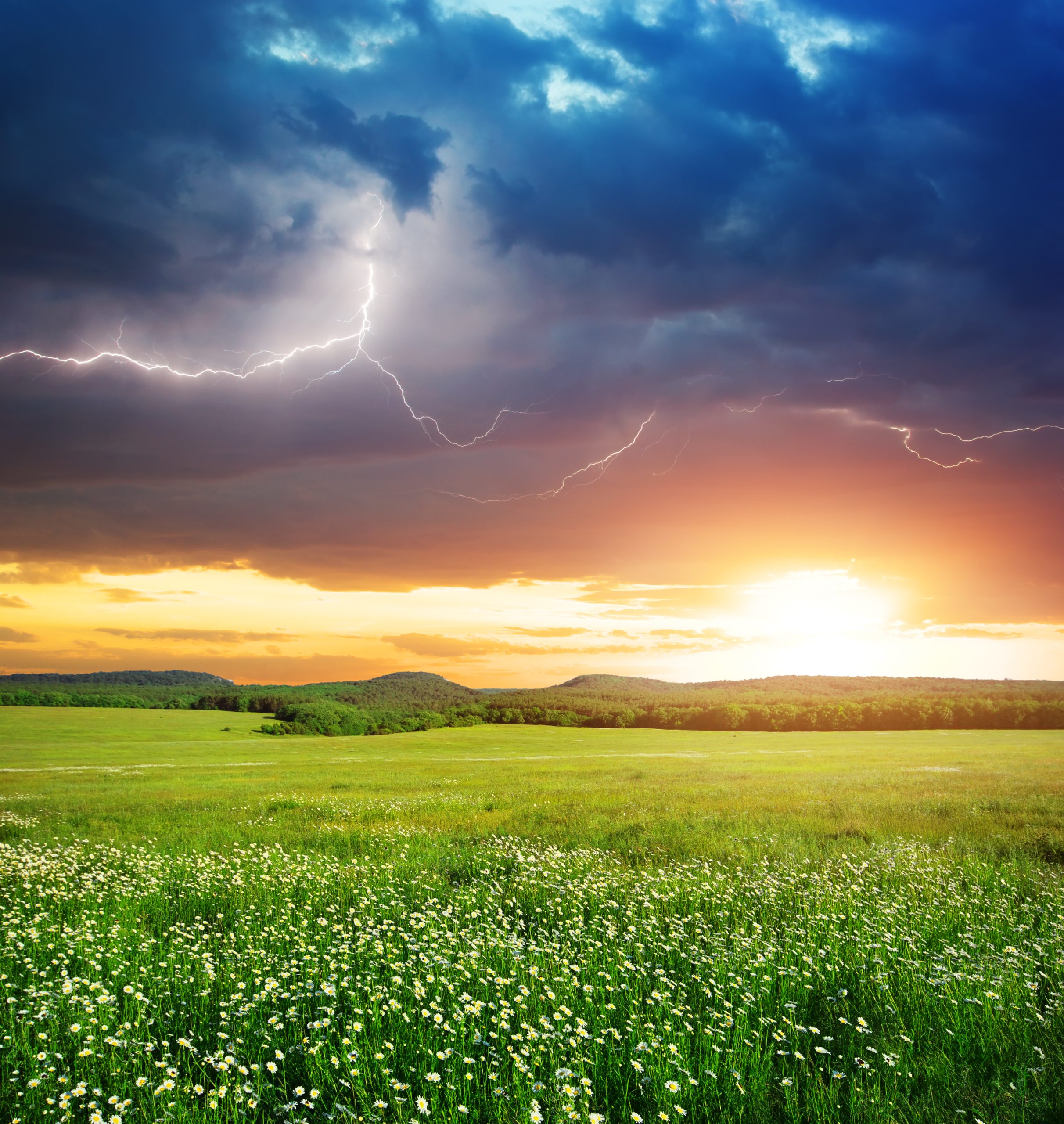Living with Healthy Boundaries in a Challenging World