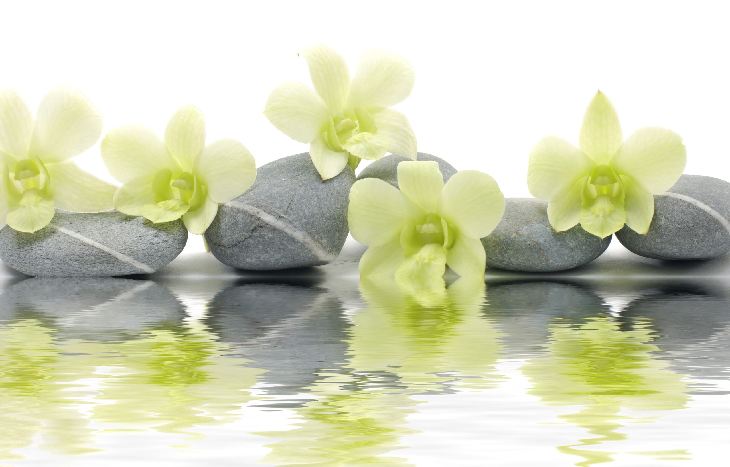 Self-Care Matters Retreat