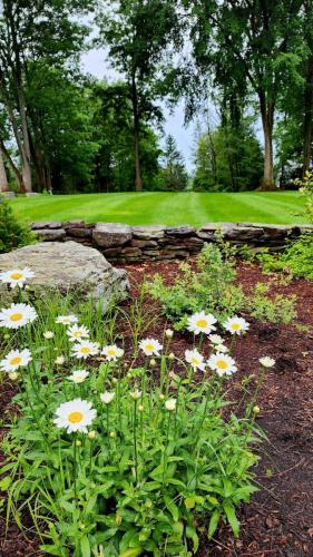 Wellness Arts Center lawn area